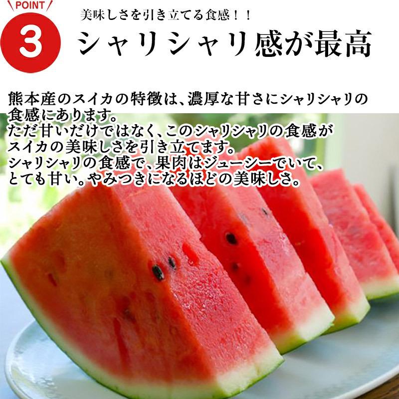 熊本産スイカ　１玉（Lサイズ）(1玉約5~6kg) 送料無料 スイカ 熊本 母の日 父の日 夏ギフト 旬の果物 ご贈答用 ご家庭用 誕生日 お祝い 記念日｜sendoichiba｜06