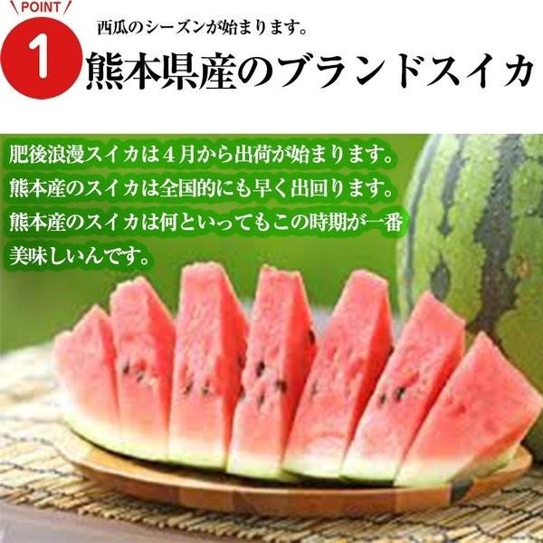 熊本産スイカ 肥後浪漫スイカ2玉(4L・5Lサイズ)(1玉約8~10kg) 送料