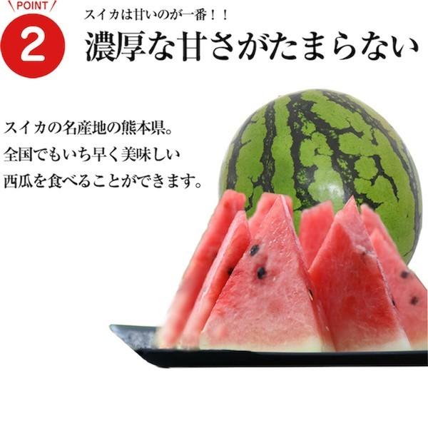 熊本産スイカ 肥後浪漫スイカ2玉(4L・5Lサイズ)(1玉約8~10kg) 送料