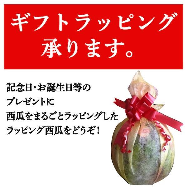 熊本産スイカ　肥後浪漫スイカ １玉(Mサイズ)(1玉約4kg~5kg) 送料無料 熊本 スイカ ご家庭用 果物ギフト ご贈答用 夏ギフト お祝い 贈り物｜sendoichiba｜04