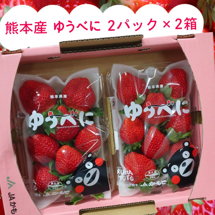 ❤️ゆうべに規格外1.2k×4箱クール便送料込14000→11000→10000 楽天市場】【 楽天ランキング1位 】送料無料 いちご ゆうべに ゆうべに 果物