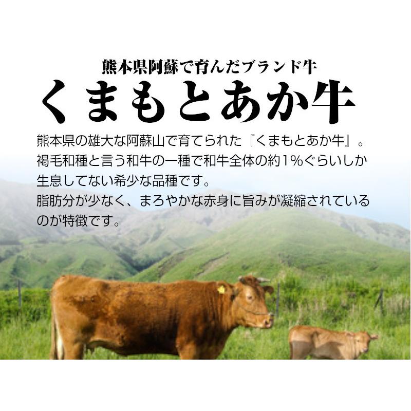 熊本県産 くまもとあか牛 ハンバーグ お試し用 送料無料 ご家庭用 和牛 赤牛 Ni To 002 鮮ど市場 通販 Yahoo ショッピング