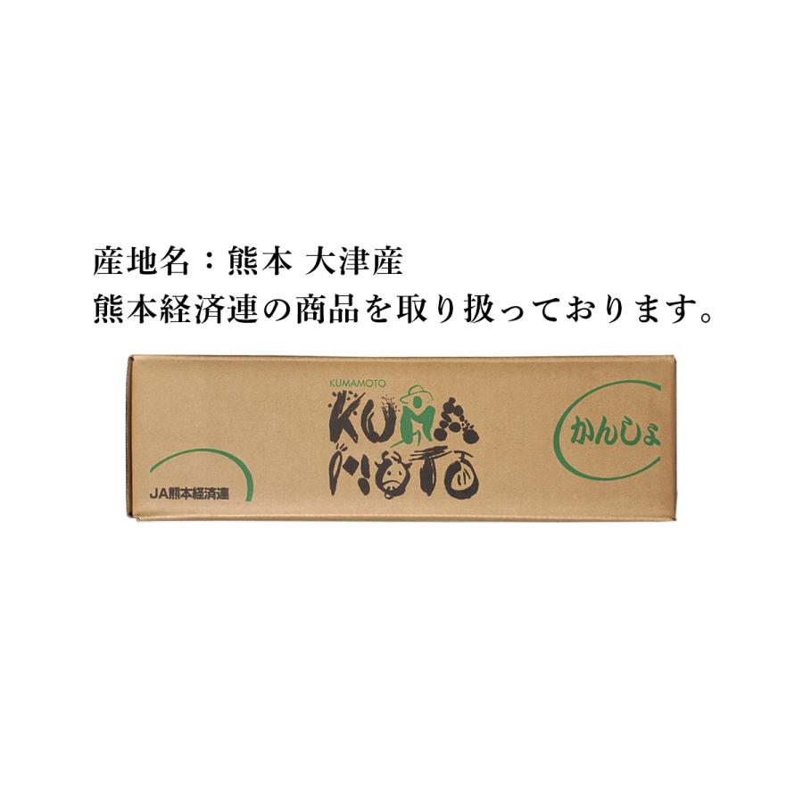 熊本産 紅はるか丸形 LまたはM お試し用 サイズ 2kg 蜜芋 送料