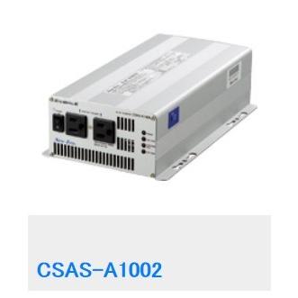 リピート多数  【neweracsasa1002】 限定デザイン