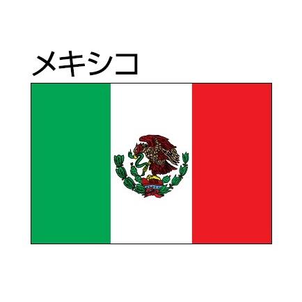 素敵な メキシコ 国旗 90 1cm トーエイ エクスラン生地 アクリル100 万国旗