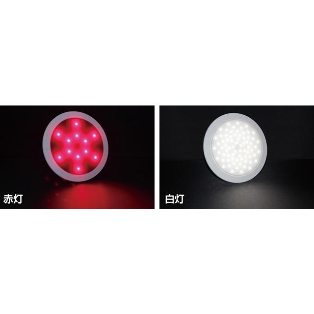 LEDスリムドームライト（大） スイッチ付き 12V J-8818LEDSS 【BMO