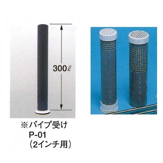 パイセン 直接受け渡し imgrc0104909235.jpg