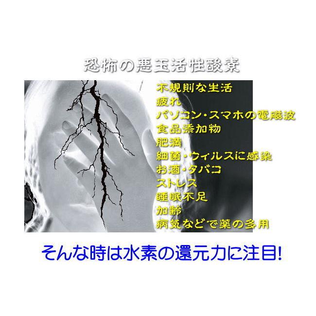 水素風呂 入浴剤 リアル水素スパ 360g 1445ppb 高濃度 疲労 冷え性