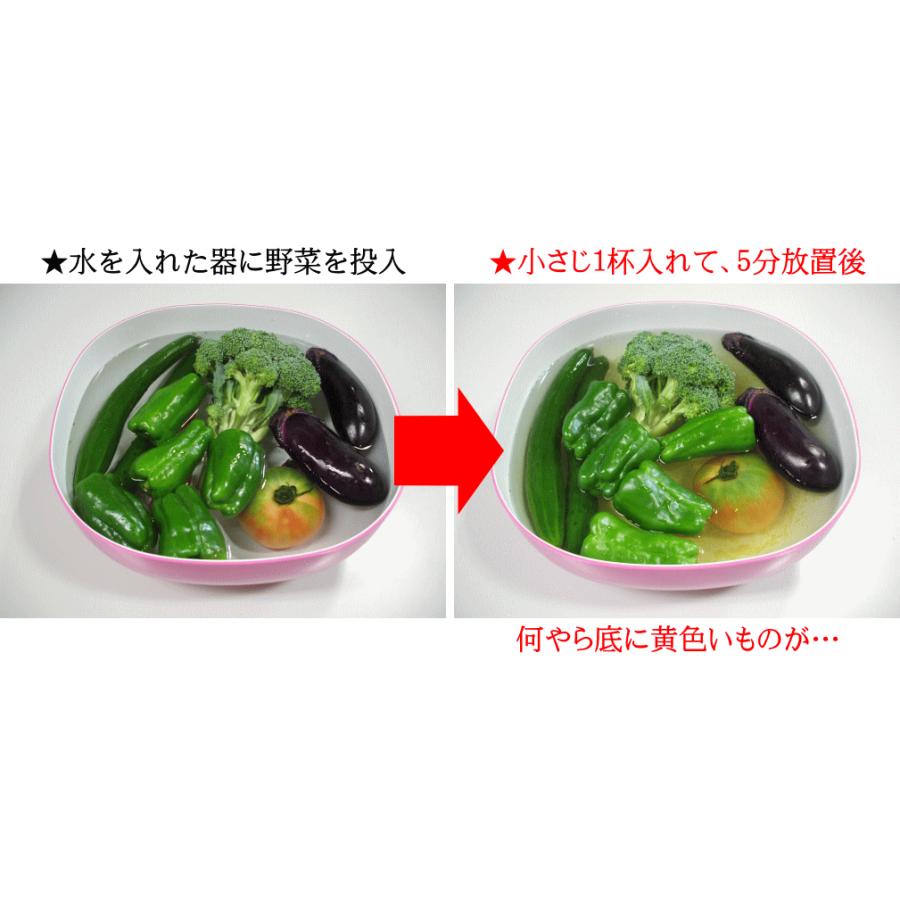 農薬落とし 自然の恵みをありがとう 1g 残留農薬除去 野菜洗い 環境ホルモン 鮮度還元 除菌 洗浄 農薬 ホッキ貝 無害 無毒 食中毒 殺菌 酸化還元 鮮度保持 千載一遇いいねショップ 通販 Yahoo ショッピング