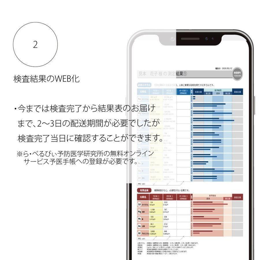 ミネラル検査 毛髪 有害ミネラル ミネラルバランス 必須ミネラル 有害ミネラル 参考ミネラル 栄養状態 防医学 食生活 健康管理 ミネラル量 水銀 ミネラル年齢｜senichi-iine｜04