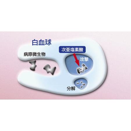 ソリューションウォーター 20L 次亜塩素酸水 弱酸性 消臭 清掃 衛生