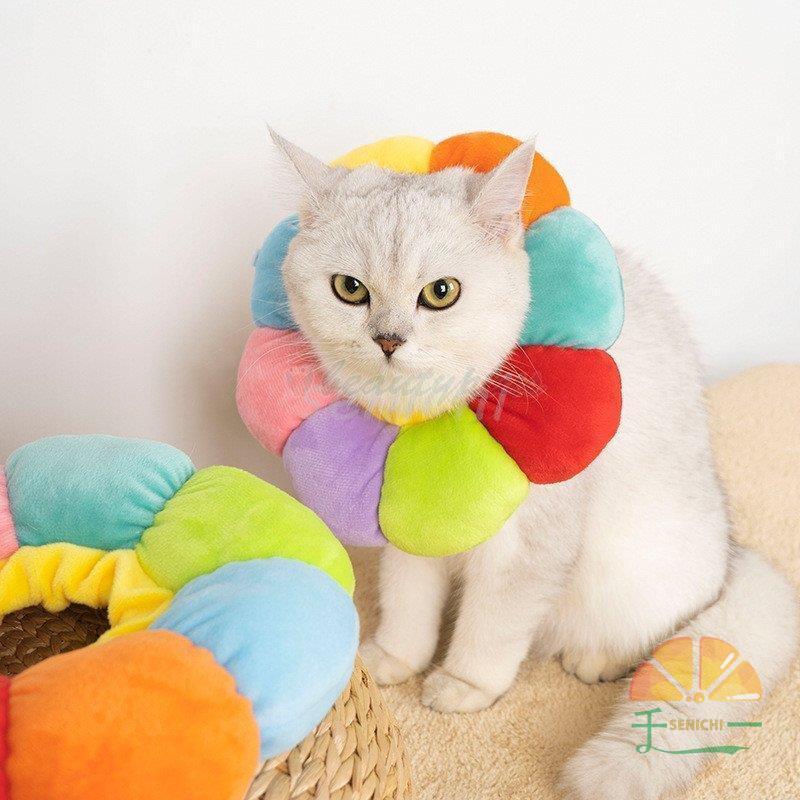 猫 首輪 暖かい 猫の首輪 猫首輪 猫 首輪 柔らかい 可愛い ペット用品 ペットグッズ 猫用品 猫用 おしゃれ Wfmhu8tani 首輪 ハーネス 迷子札 Sprintmart Com