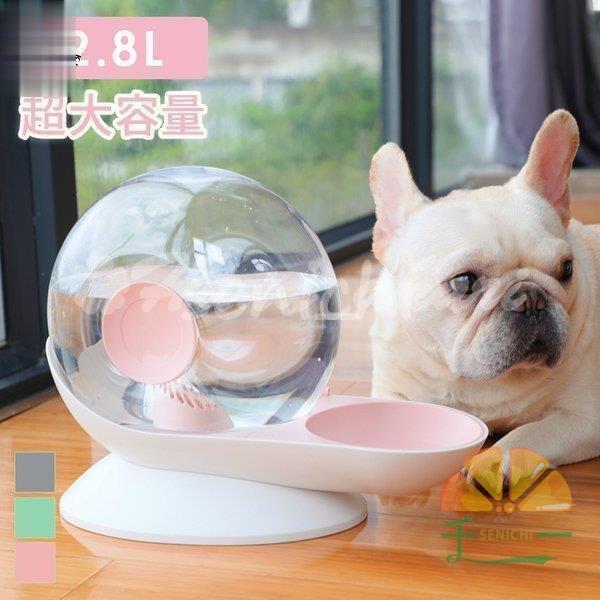 新品 ペット用品 雑貨 給水器 自動 水飲み 留守番 水分補給 おしゃれ シンプル グレー グリーン ピンク クリアおしゃれ 犬 生活用品 癒し 猫 小型 便利 配送員設置送料無料 Turningheadskennel Com