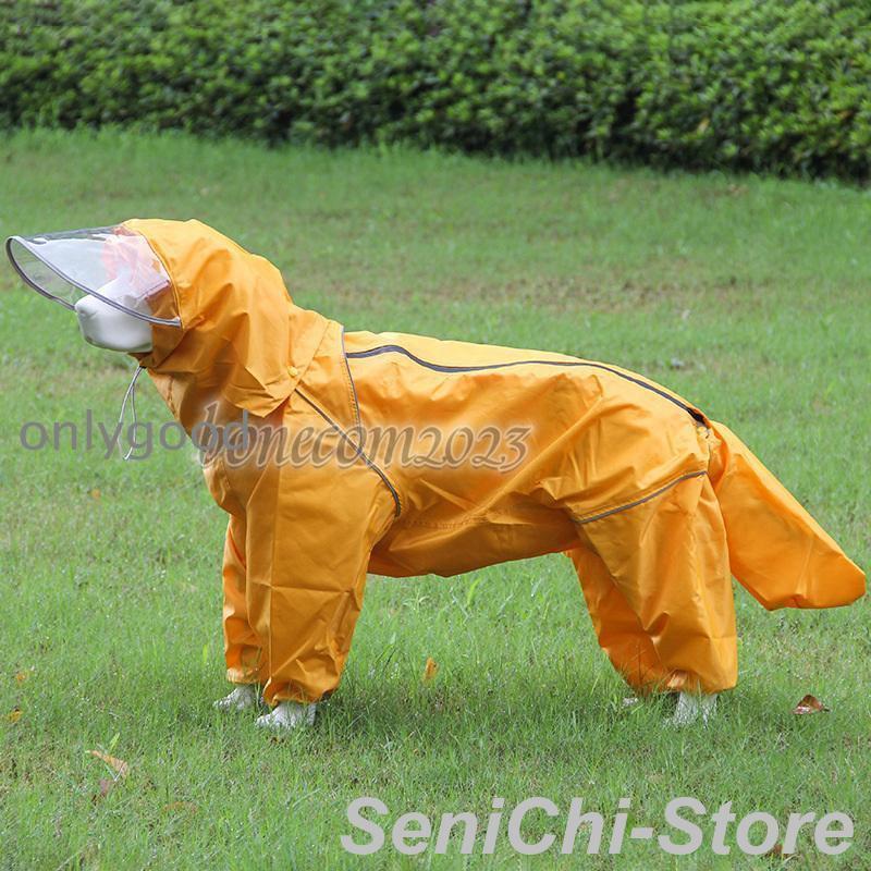 初回帯付☆ザ・ピーナッツ/華麗なるフランシスレイサウンド レコード