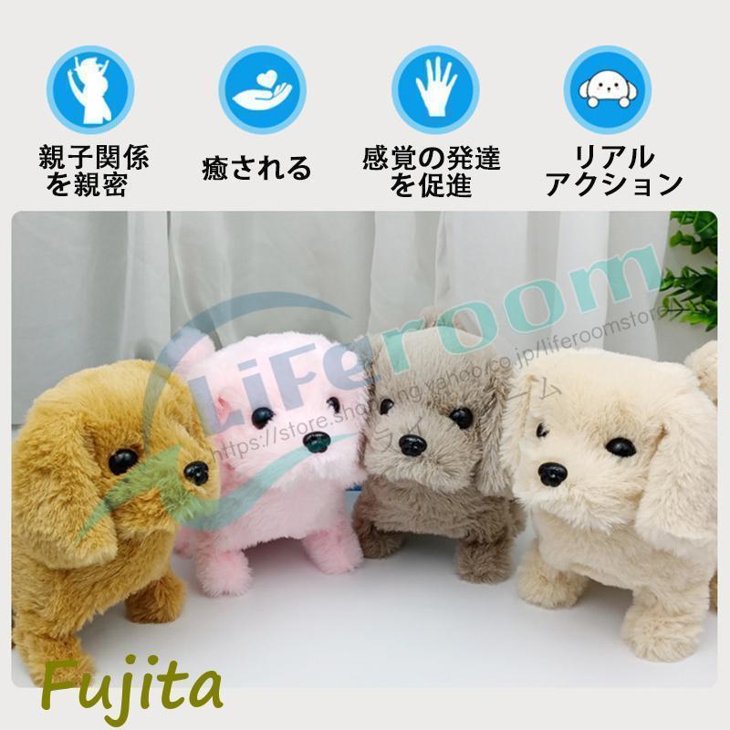 元気な仔犬トイプードルのショコラちゃんおしゃべり歩く動く