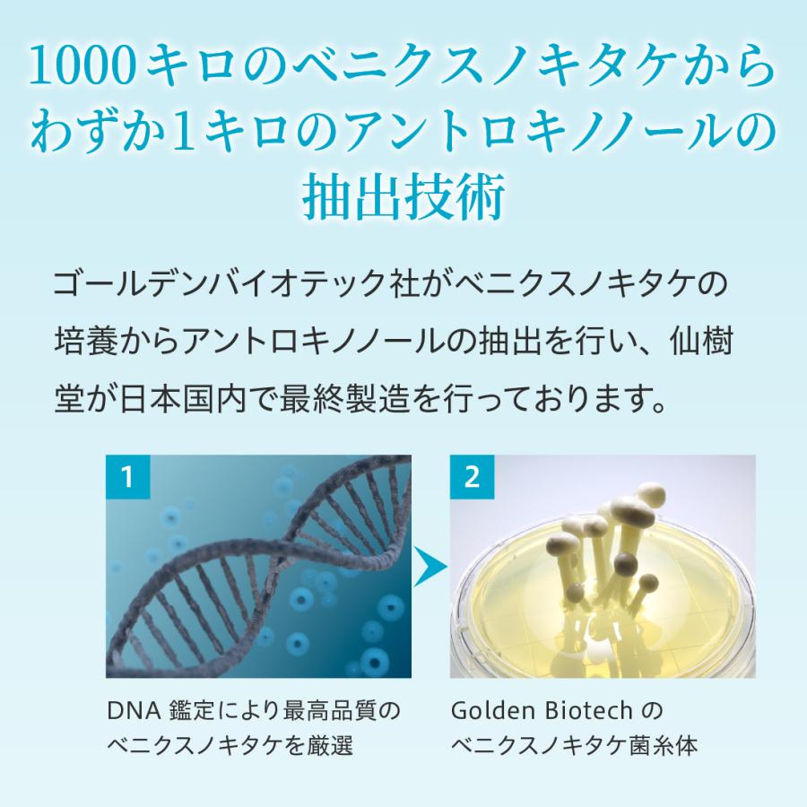 18箱】 仙樹堂アントロキノノール（森耀（しんき）） （1箱あたり180粒