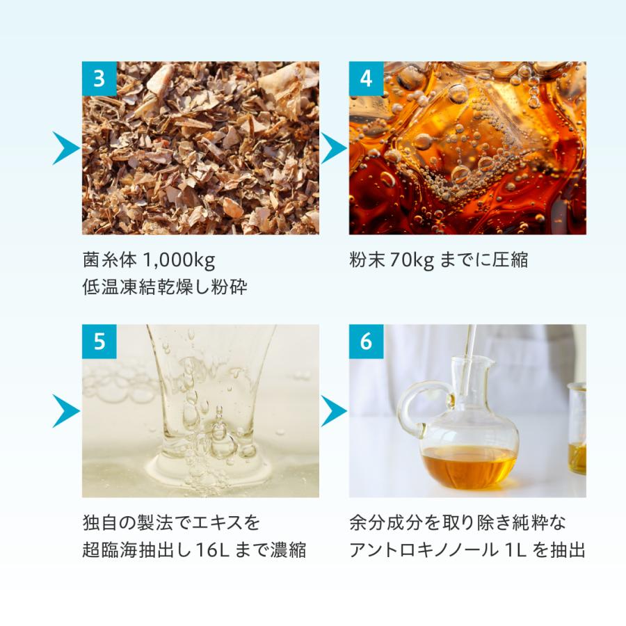 18箱】 仙樹堂アントロキノノール（森耀（しんき）） （1箱あたり180粒