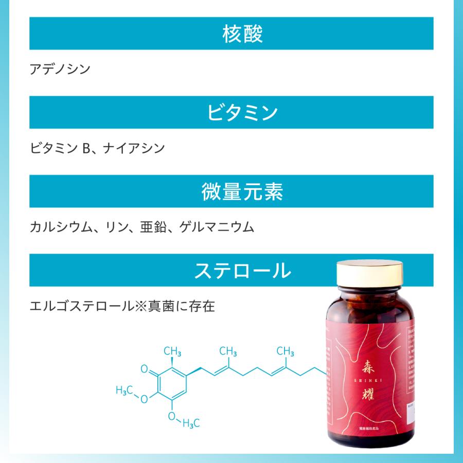 36箱】 仙樹堂アントロキノノール（森耀（しんき）） （1箱あたり180粒 