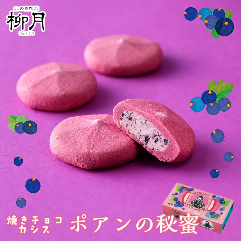 柳月 焼きチョコカシス ポアンの秘蜜 4個入 北海道 お菓子 期間限定