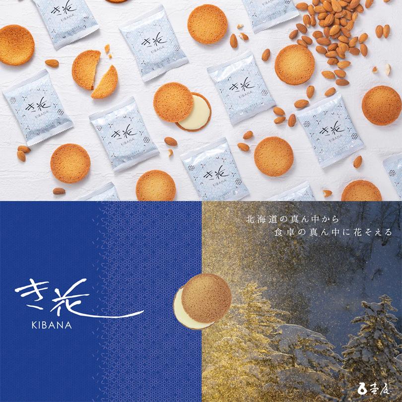 ばでぃボード　ボディボード　花王　レア　限定　レトロ ばでぃボードボディボード花王レア限定レトロ