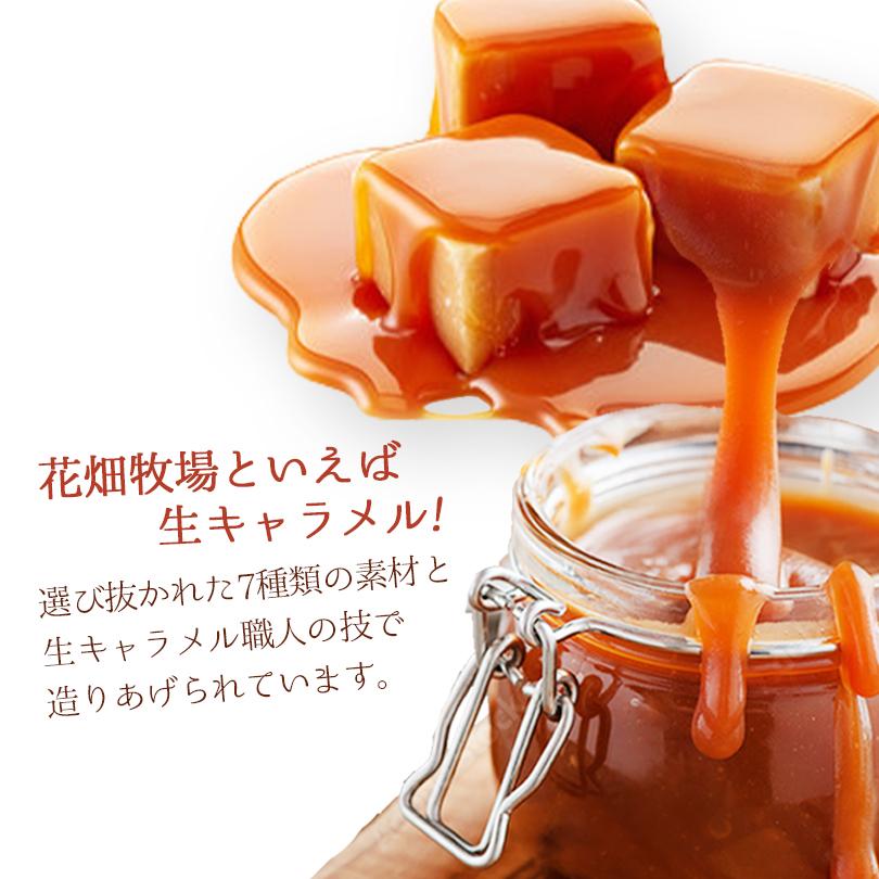 生キャラメル ドライ プレーン 64g 花畑牧場 レターパック便 生キャラメル ドライ プレーン 64g 花畑牧場 レターパック便