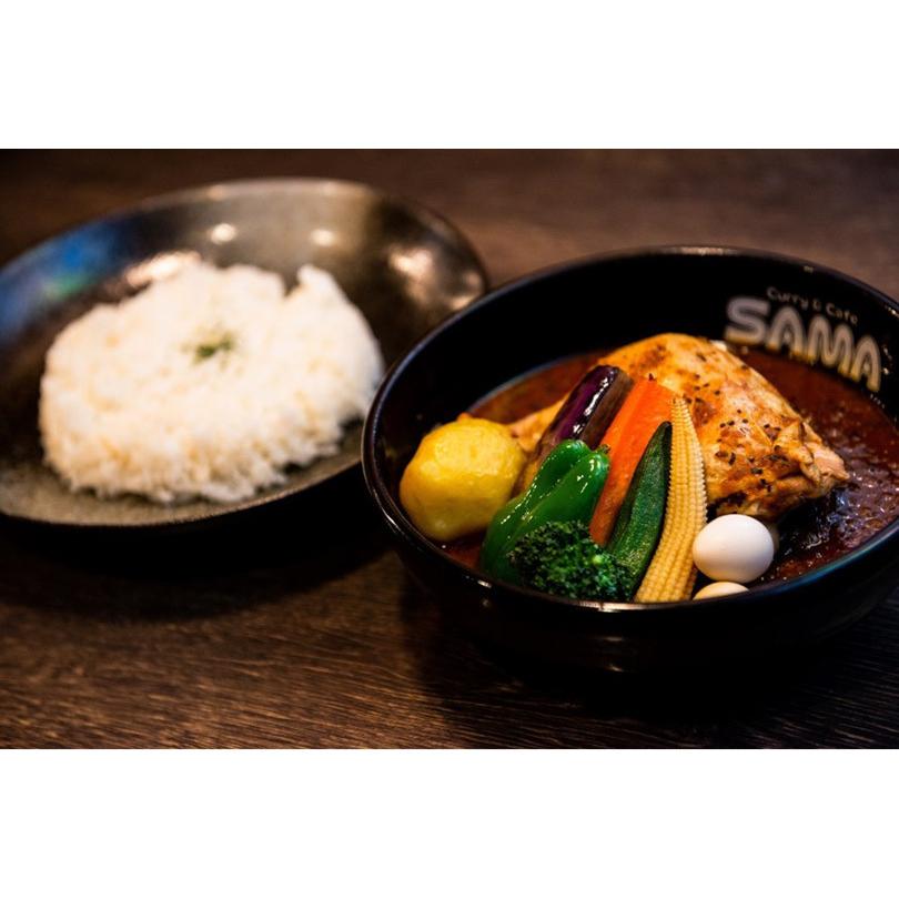 SAMA チキンスープカレー 10個セット 送料無料 送料込 北海道 札幌 トマトベース スパイス お土産 手土産 贈り物_2