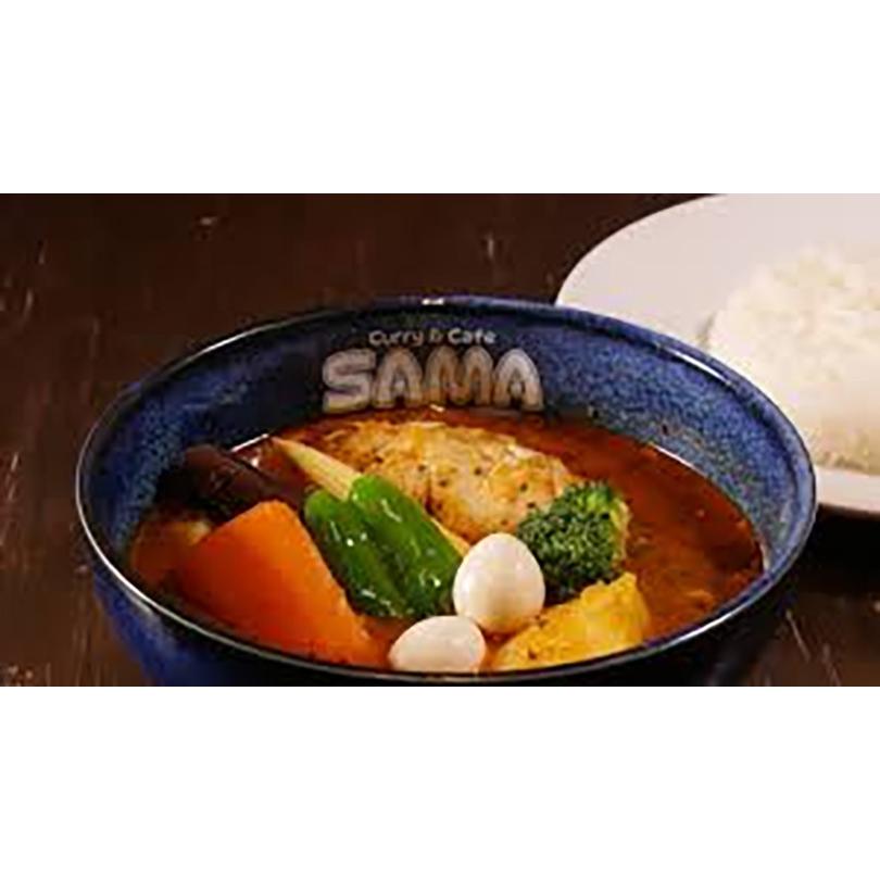 SAMA チキンスープカレー 10個セット 送料無料 送料込 北海道 札幌 トマトベース スパイス お土産 手土産 贈り物_4