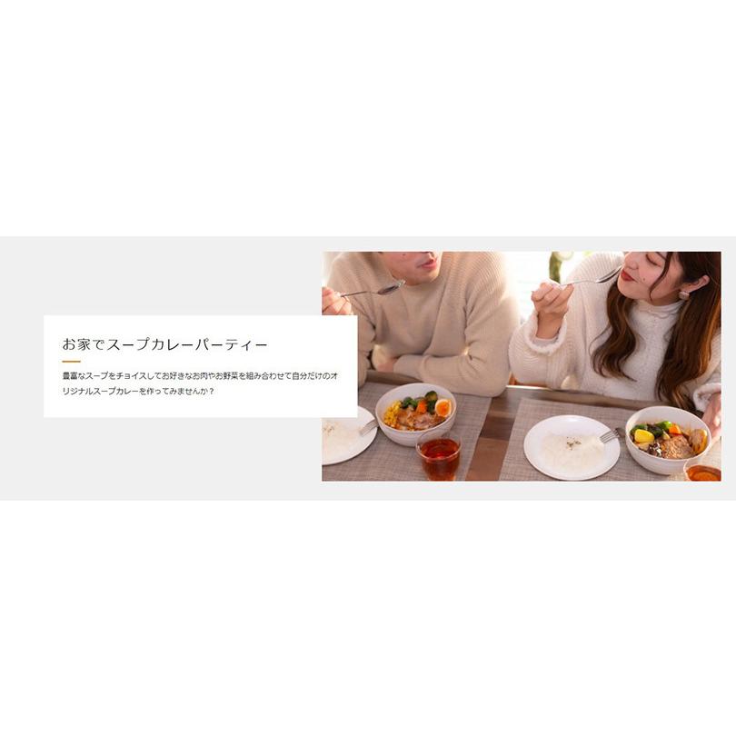 SAMA チキンスープカレー 10個セット 送料無料 送料込 北海道 札幌 トマトベース スパイス お土産 手土産 贈り物_6
