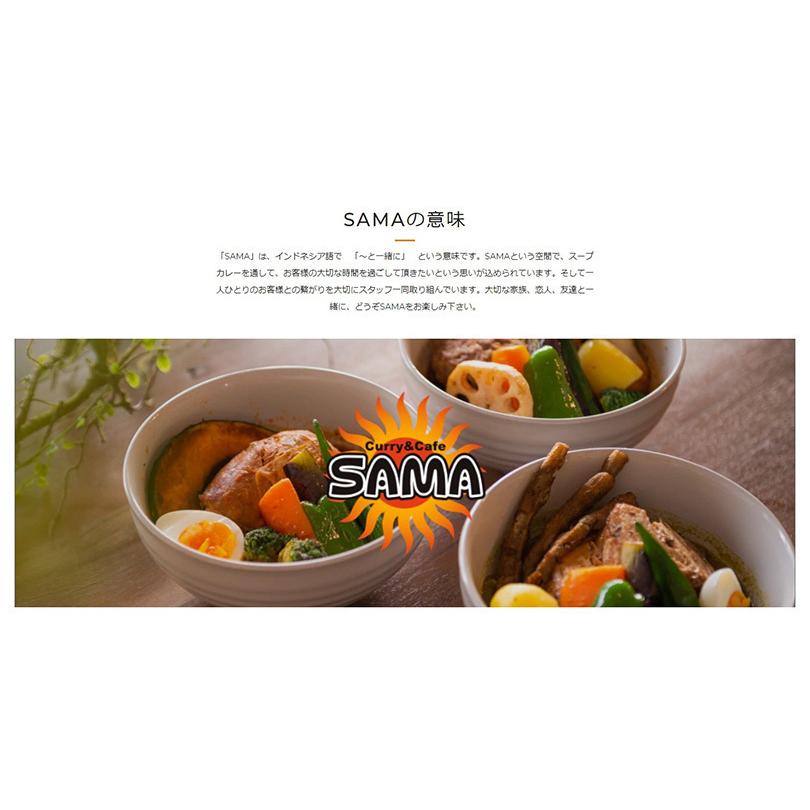 SAMA チキンスープカレー 10個セット 送料無料 送料込 北海道 札幌 トマトベース スパイス お土産 手土産 贈り物_7