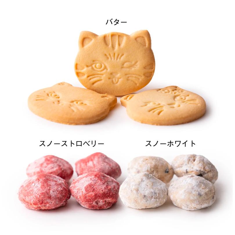 こねこのこねこねクッキー缶 Cute 4個セット 送料無料 CACAOCAT DADAKA クッキー 猫 ねこ プレゼント ギフト かわいい お土産｜senka-land｜03