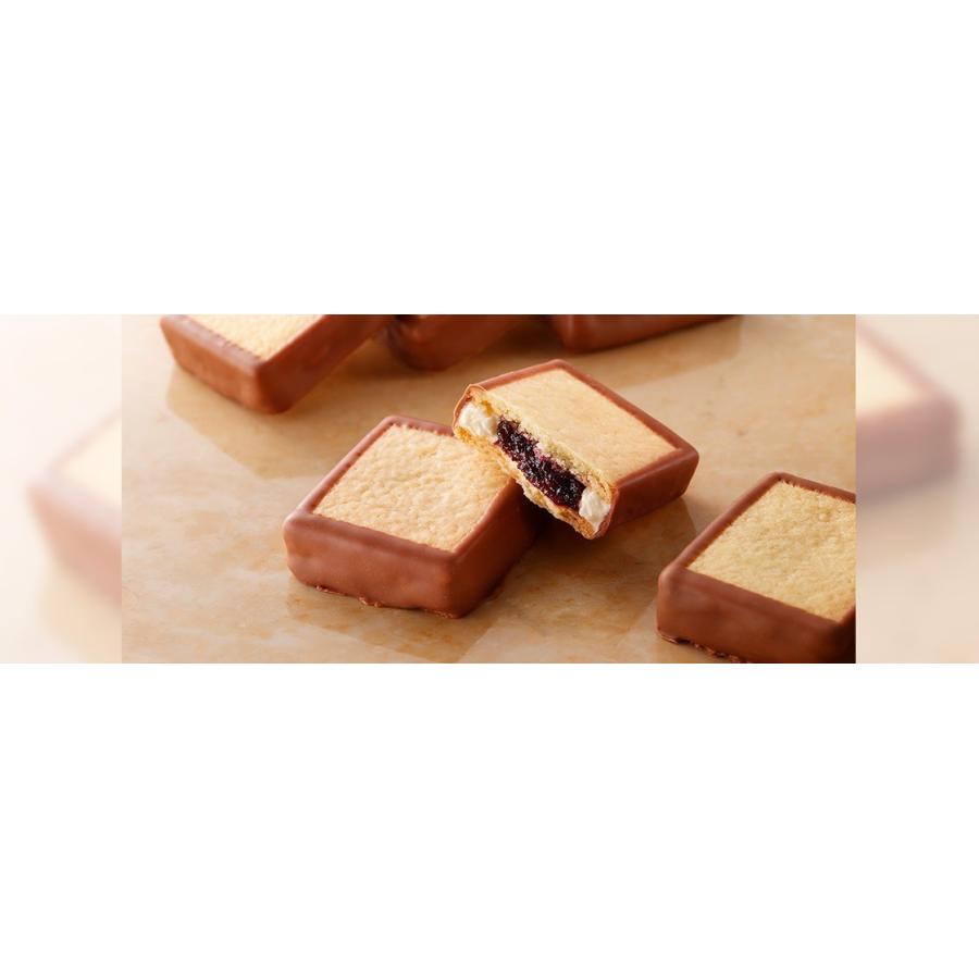 ハスカップジュエリー 6個入 5箱セット 送料無料 morimoto 北海道 お