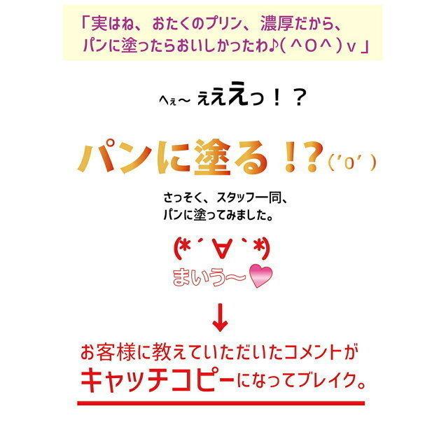 ミルキーゴールドチョコ 1個入 5個セット 送料無料 北海道 お土産 プリン 濃厚 なめらか パンに塗っても美味しい チョコ｜senka-land｜06