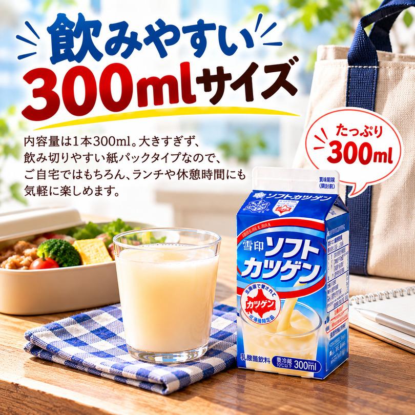 雪印 ソフトカツゲン 300ml 送料無料 北海道 限定 ご当地 乳酸菌飲料