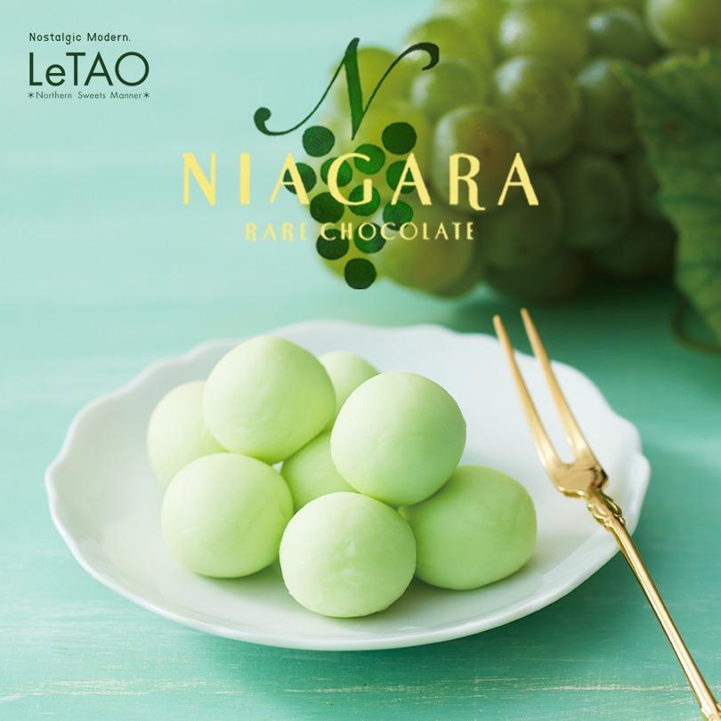 ルタオ LeTAO レアチョコレートナイアガラ 5個セット 送料込み 北海道