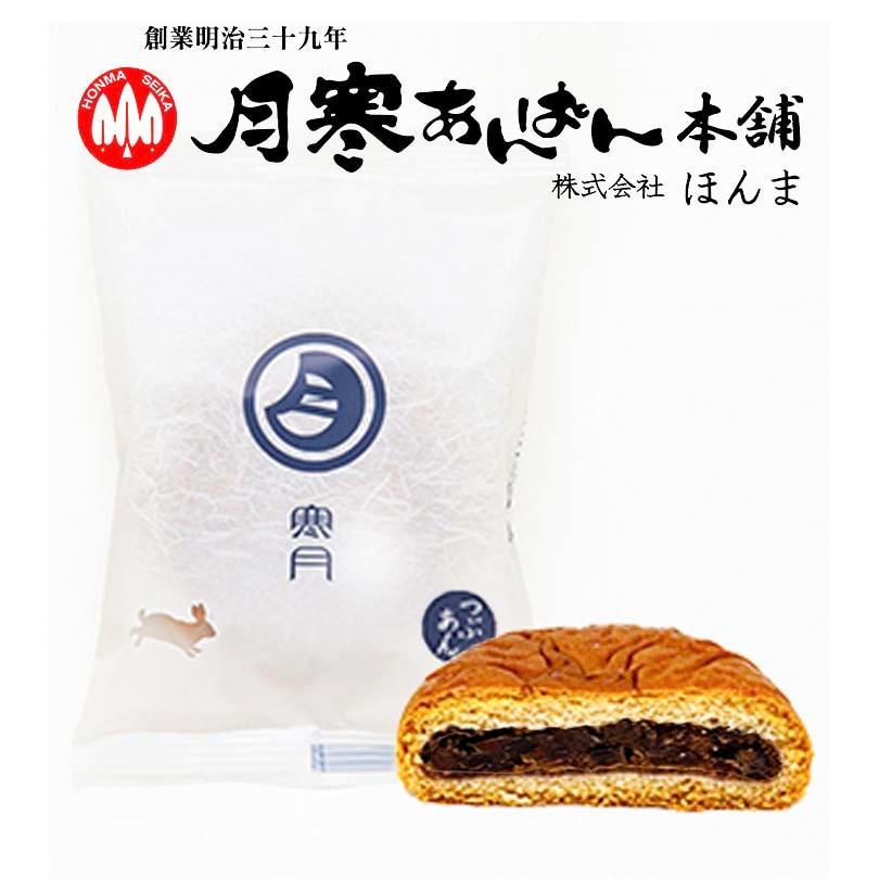 月寒あんぱん本舗 寒月 つぶあん 10個セット 送料無料 月寒 北海道
