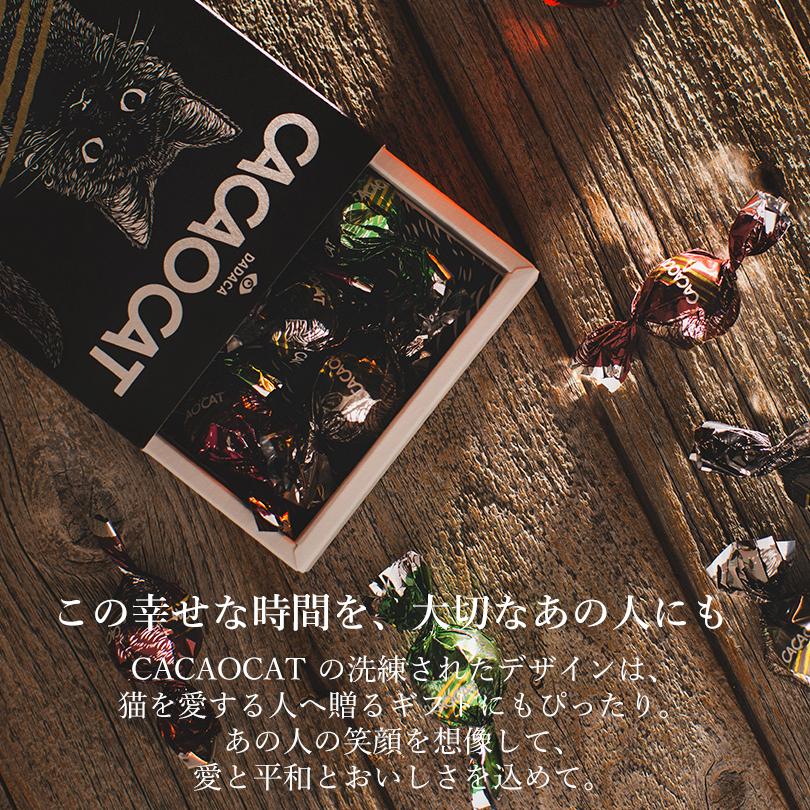 CACAOCAT 5入 4種類から選べる1個 送料無料 カカオキャット