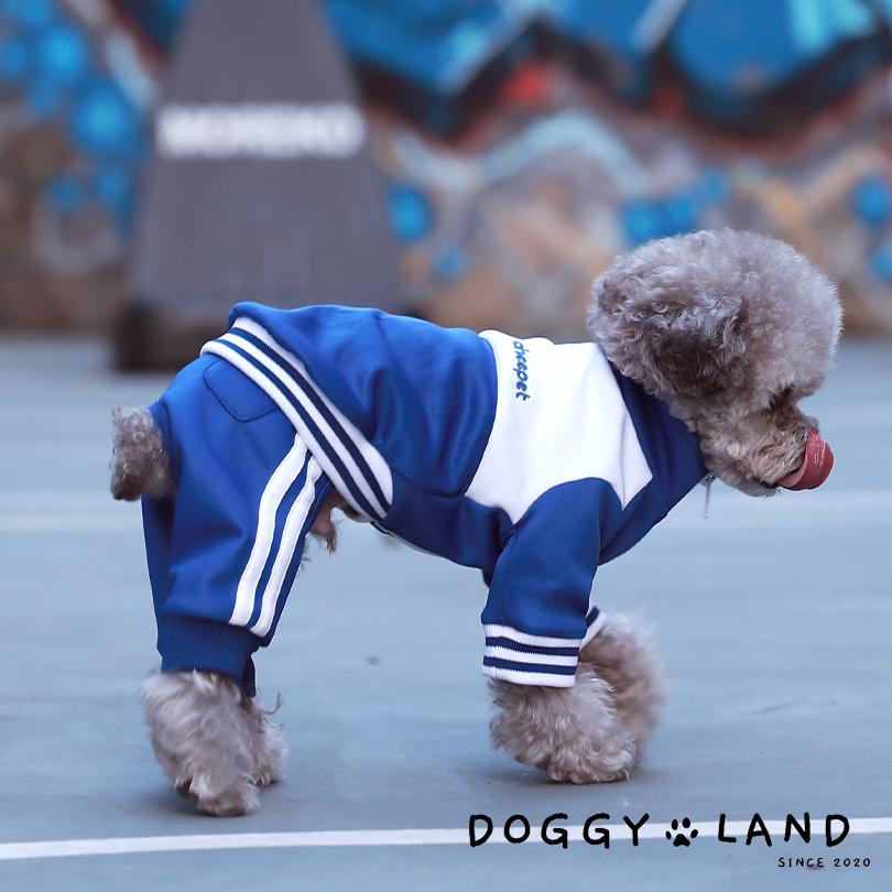 犬　ペット用洋服 犬服 送料無料 チーペットドギーランド 可愛い ライン ジャージ 秋冬