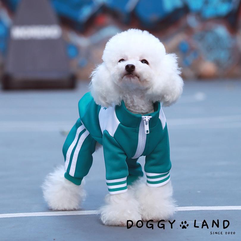 犬服 送料無料 チーペットドギーランド 可愛い ライン ジャージ 秋冬