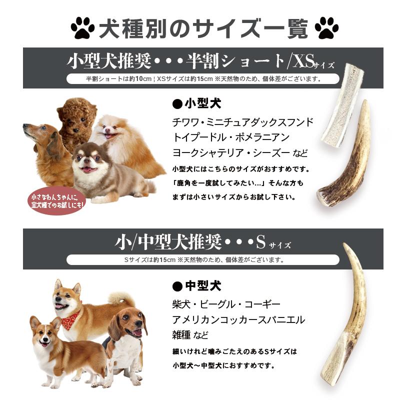 Deerhorn【Lサイズ】北海道産 鹿角 ペット 犬 おもちゃ 大型犬 プレゼント いたずら防止 おやつ デンタルケア ガム 犬用 鹿の角 天然 無添加 送料無料｜senka-land｜05