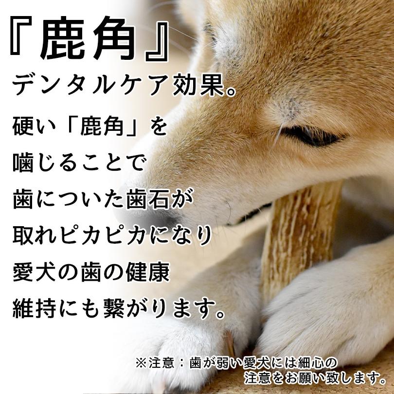 Deerhorn Xlサイズ 北海道産 鹿角 ペット 犬 おもちゃ 超大型犬 プレゼント 物品 デンタルケア 天然 無添加 いたずら防止 おやつ 送料無料 Xl 鹿の角