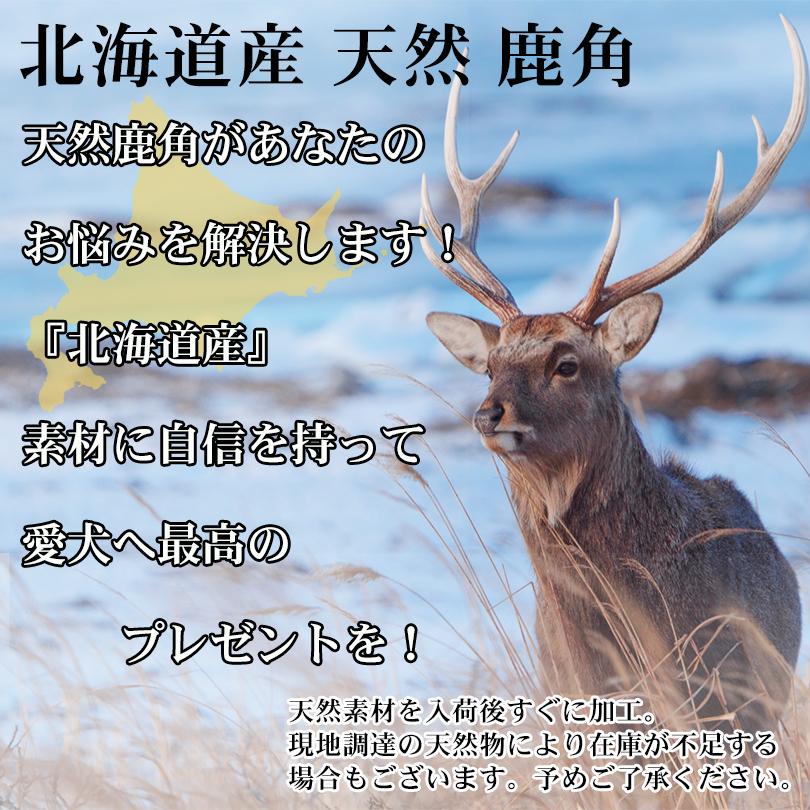 Deerhorn Xlサイズ 北海道産 鹿角 ペット 犬 おもちゃ 超大型犬 プレゼント 物品 デンタルケア 天然 無添加 いたずら防止 おやつ 送料無料 Xl 鹿の角