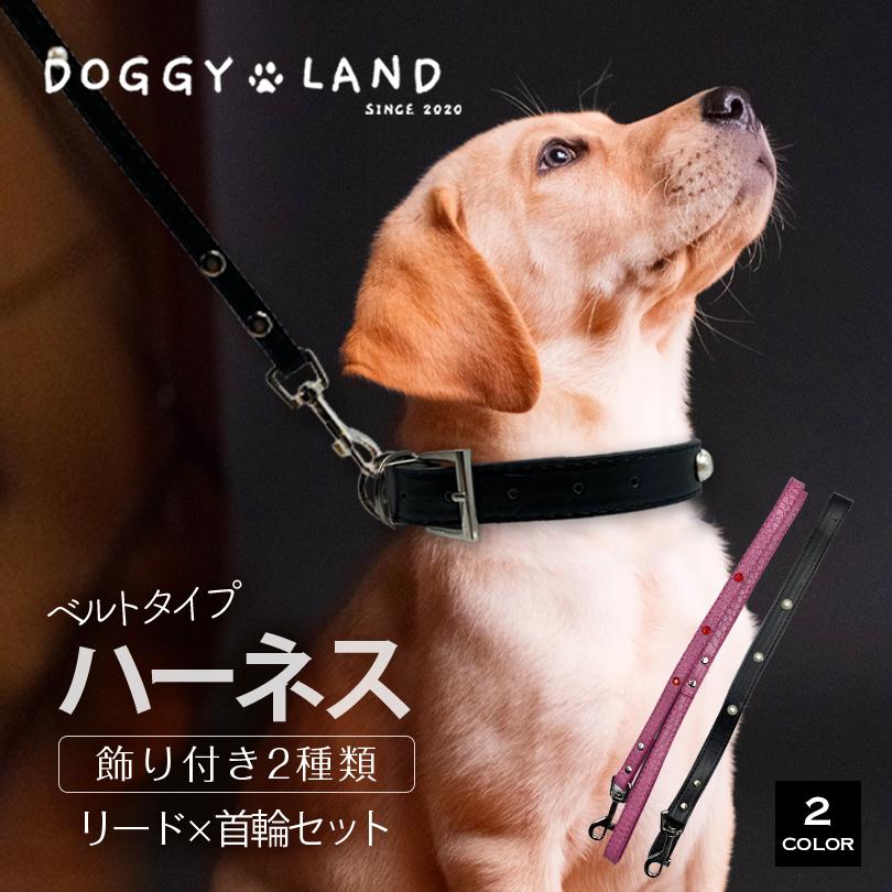1000円ポッキリ 送料無料 【首輪 リード 2点セット】犬の首輪 ベルト