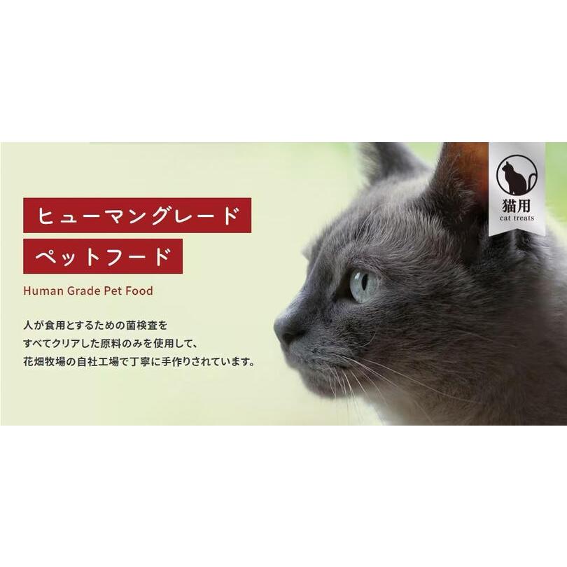 猫用 花畑牧場 猫用トロリーヌ 北海道鮭 (25g 2本) 送料無料 無添加