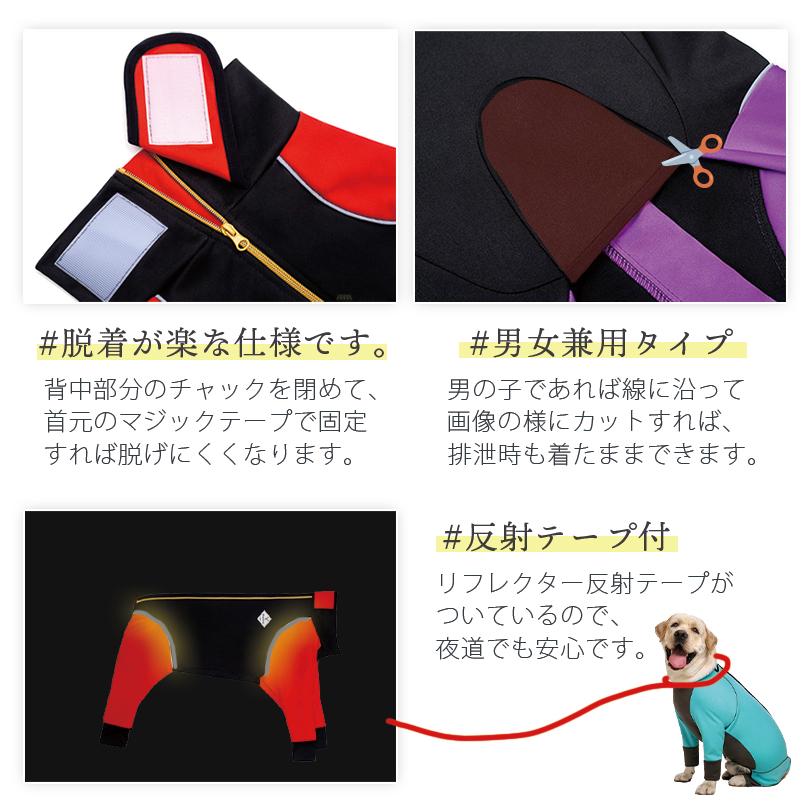 犬服 ドッグウェア ラッシュガード 【名入れ可】 送料無料 背面