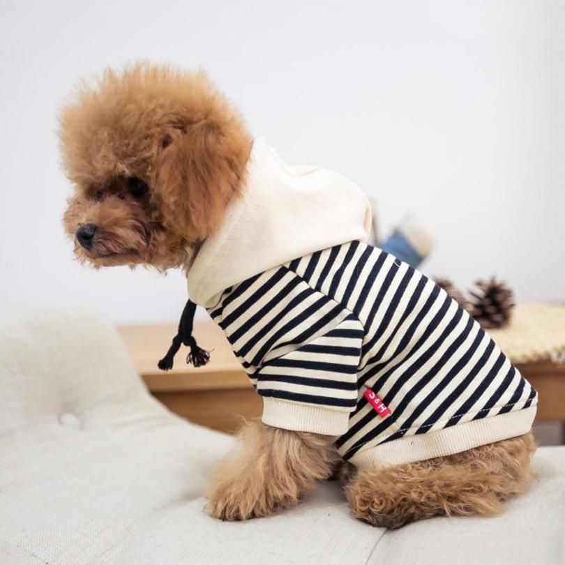 犬服 ドッグウェア 送料無料 パーカー【犬服 春 夏 春用 夏用
