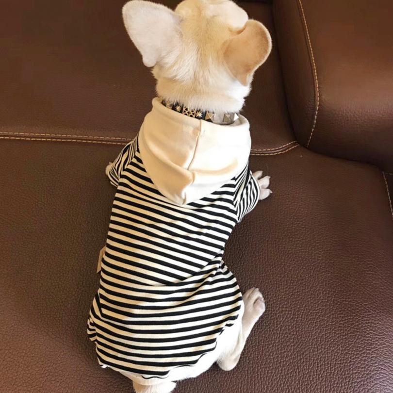 犬服 ドッグウェア 送料無料 パーカー【犬服 春 夏 春用 夏用
