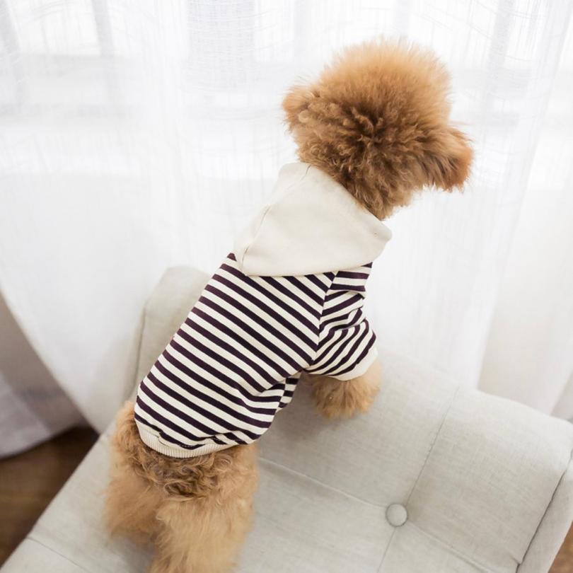 犬服 ドッグウェア 送料無料 パーカー【犬服 春 夏 春用 夏用