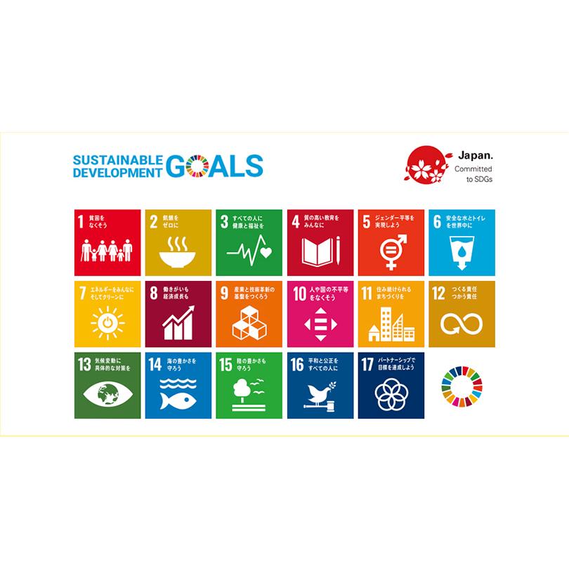 【数量限定】17点フルセット　SDGs スクエアピンバッジ 【国連本部入手品】 enjoy-shopping_10016-6