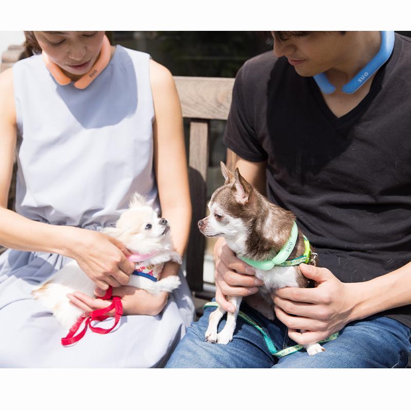 犬用 クールリング XS・SSサイズ SUO 28° ICE COOL RING for DOGS 犬