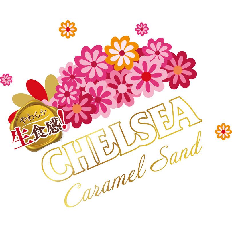 北海道限定 道南食品 生食感チェルシー バタースカッチ味 ヨーグルト